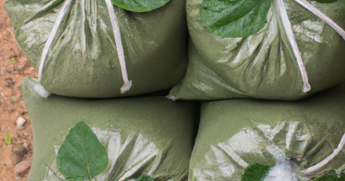 Kratom leaves and powder showing the natural source of alkaloids like mitragynine